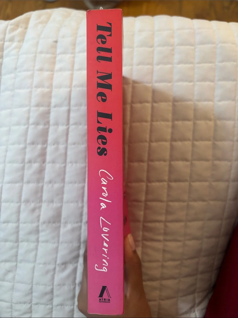 Tell Me Lies by Carola Lovering - Paperback Novel